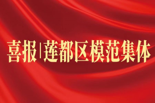喜報(bào)丨浙江中立建設(shè)榮獲蓮都區(qū)“模范集體”稱號！